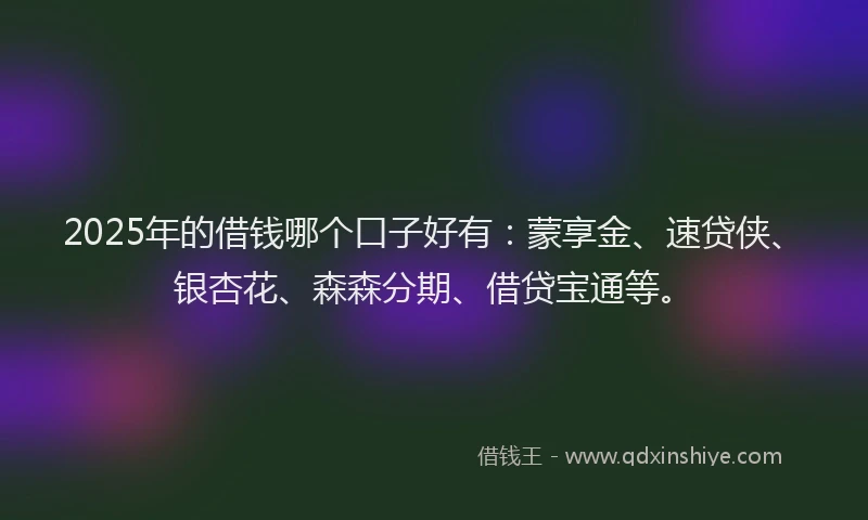 2025年的借钱哪个口子好有：蒙享金、速贷侠、银杏花、森森分期、借贷宝通等。