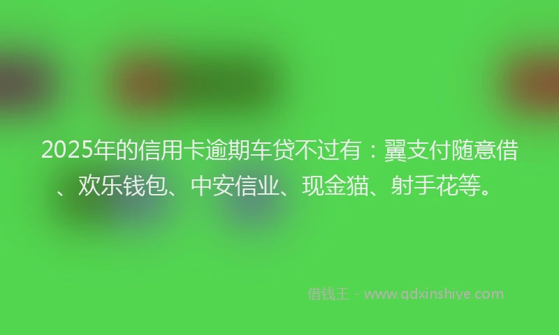 2025年的信用卡逾期车贷不过有：翼支付随意借、欢乐钱包、中安信业、现金猫、射手花等。