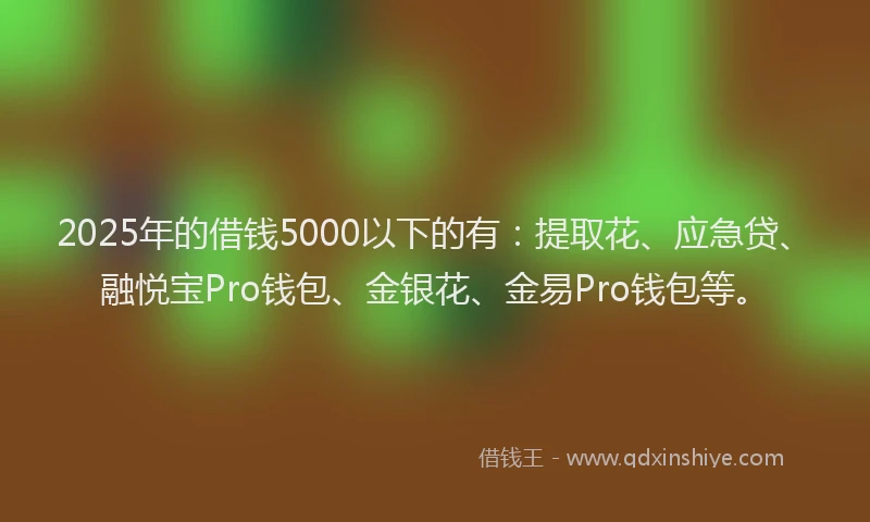 2025年的借钱5000以下的有：提取花、应急贷、融悦宝Pro钱包、金银花、金易Pro钱包等。