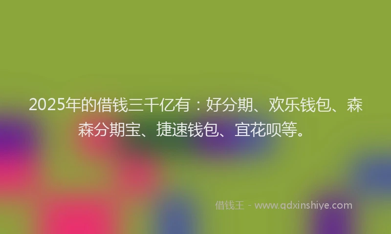 2025年的借钱三千亿有：好分期、欢乐钱包、森森分期宝、捷速钱包、宜花呗等。