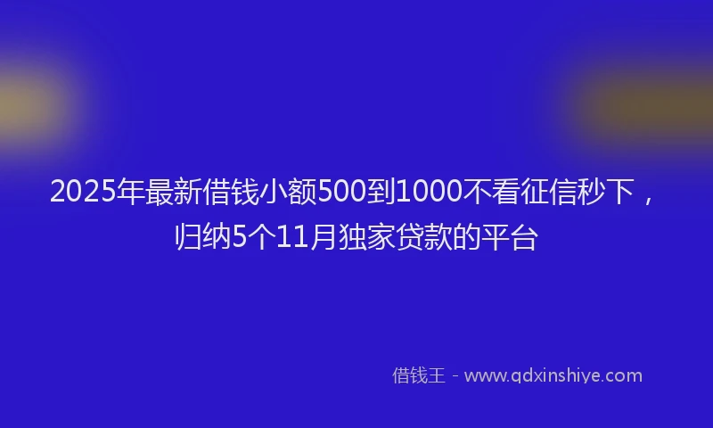 2025年最新借钱小额500到1000不看征信秒下，归纳5个11月独家贷款的平台