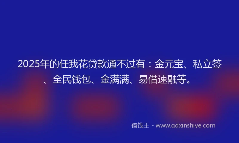 2025年的任我花贷款通不过有：金元宝、私立签、全民钱包、金满满、易借速融等。