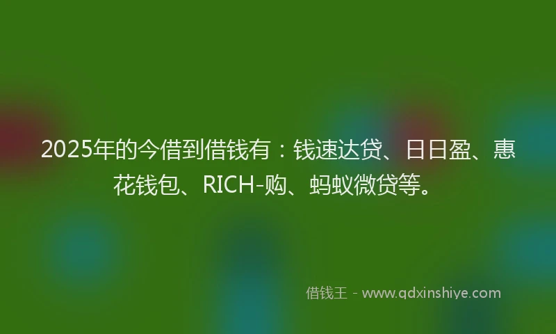 2025年的今借到借钱有：钱速达贷、日日盈、惠花钱包、RICH-购、蚂蚁微贷等。