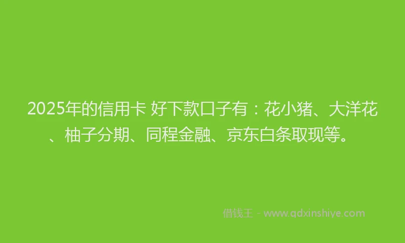 2025年的信用卡 好下款口子有：花小猪、大洋花、柚子分期、同程金融、京东白条取现等。