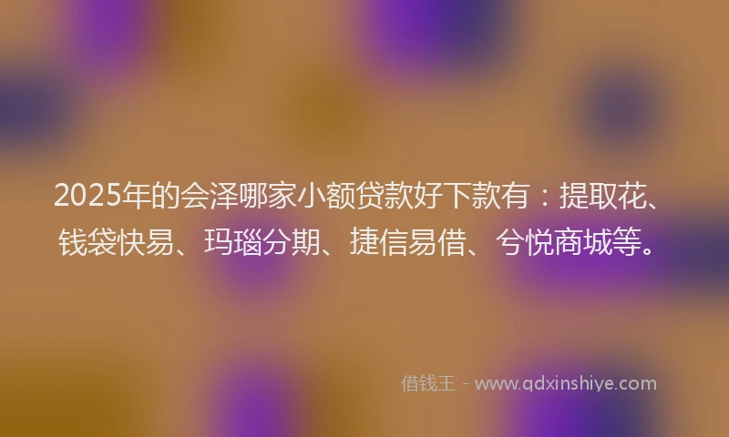2025年的会泽哪家小额贷款好下款有：提取花、钱袋快易、玛瑙分期、捷信易借、兮悦商城等。
