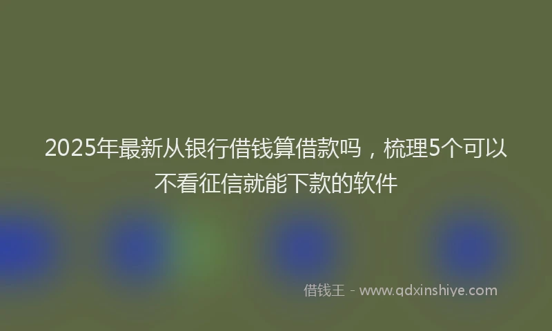 2025年最新从银行借钱算借款吗，梳理5个可以不看征信就能下款的软件