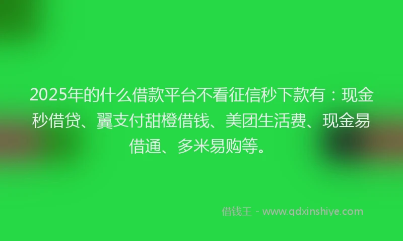 2025年的什么借款平台不看征信秒下款有：现金秒借贷、翼支付甜橙借钱、美团生活费、现金易借通、多米易购等。