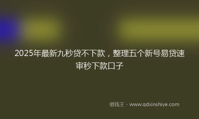 2025年最新九秒贷不下款，整理五个新号易贷速审秒下款口子