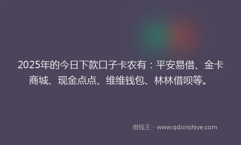 2025年的今日下款口子卡农有：平安易借、金卡商城、现金点点、维维钱包、林林借呗等。