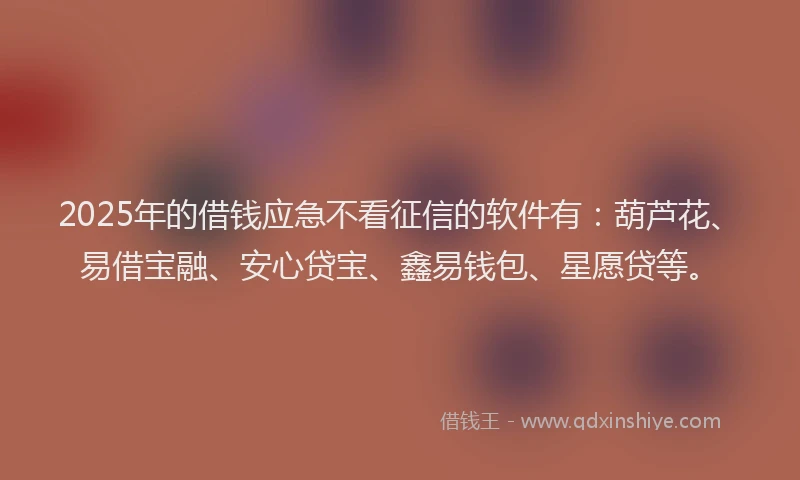2025年的借钱应急不看征信的软件有：葫芦花、易借宝融、安心贷宝、鑫易钱包、星愿贷等。