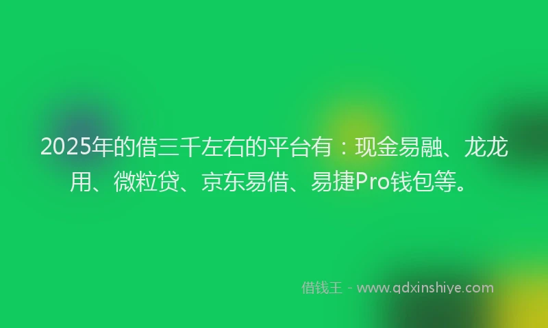 2025年的借三千左右的平台有：现金易融、龙龙用、微粒贷、京东易借、易捷Pro钱包等。