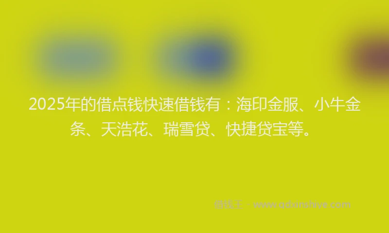 2025年的借点钱快速借钱有：海印金服、小牛金条、天浩花、瑞雪贷、快捷贷宝等。