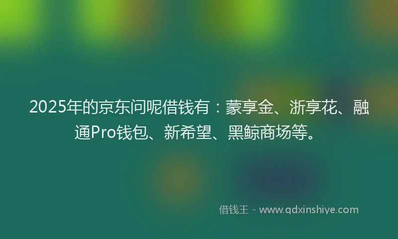 2025年的京东问呢借钱有：蒙享金、浙享花、融通Pro钱包、新希望、黑鲸商场等。