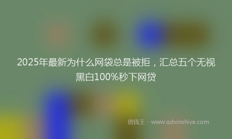 2025年最新为什么网袋总是被拒，汇总五个无视黑白100%秒下网贷