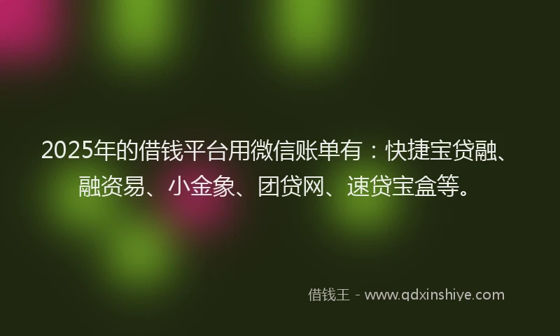 2025年的借钱平台用微信账单有：快捷宝贷融、融资易、小金象、团贷网、速贷宝盒等。
