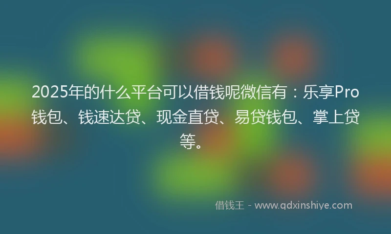 2025年的什么平台可以借钱呢微信有：乐享Pro钱包、钱速达贷、现金直贷、易贷钱包、掌上贷等。