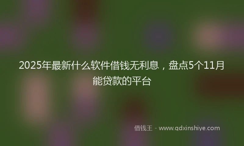 2025年最新什么软件借钱无利息，盘点5个11月能贷款的平台