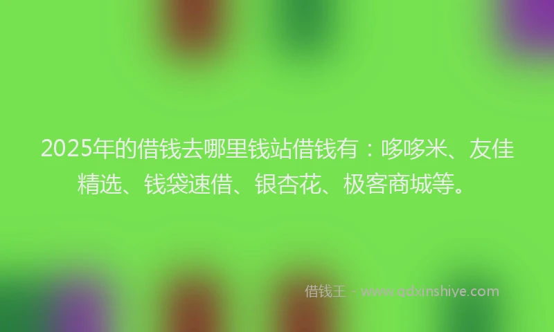 2025年的借钱去哪里钱站借钱有：哆哆米、友佳精选、钱袋速借、银杏花、极客商城等。