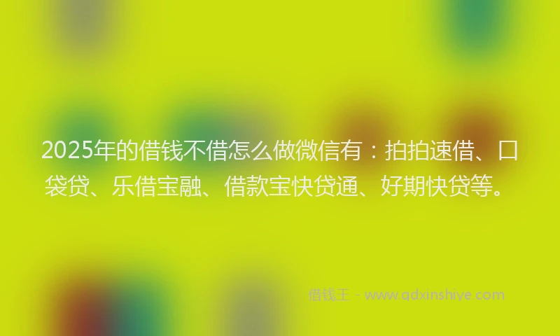 2025年的借钱不借怎么做微信有：拍拍速借、口袋贷、乐借宝融、借款宝快贷通、好期快贷等。