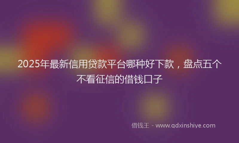 2025年最新信用贷款平台哪种好下款，盘点五个不看征信的借钱口子