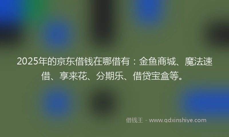2025年的京东借钱在哪借有：金鱼商城、魔法速借、享来花、分期乐、借贷宝盒等。