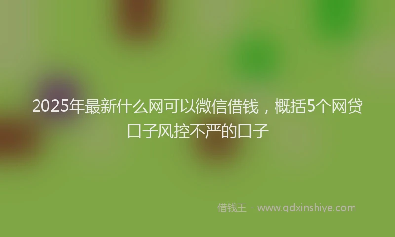 2025年最新什么网可以微信借钱，概括5个网贷口子风控不严的口子