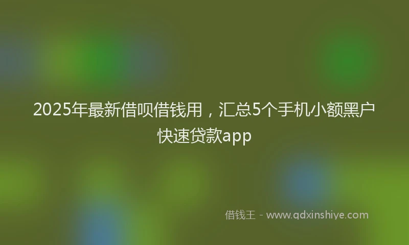 2025年最新借呗借钱用，汇总5个手机小额黑户快速贷款app