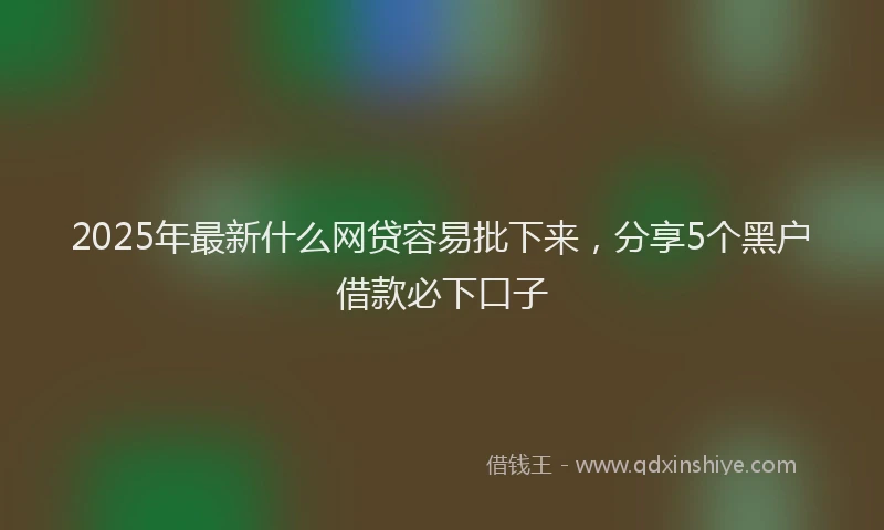 2025年最新什么网贷容易批下来，分享5个黑户借款必下口子