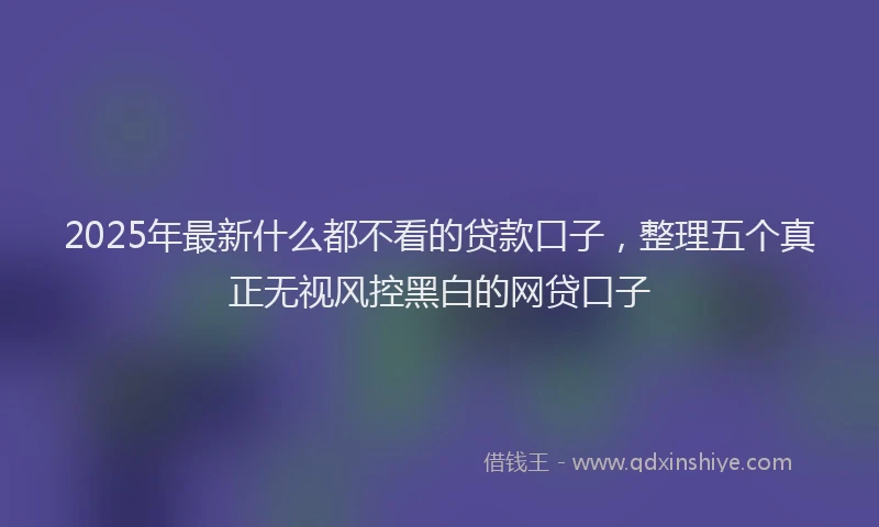 2025年最新什么都不看的贷款口子，整理五个真正无视风控黑白的网贷口子