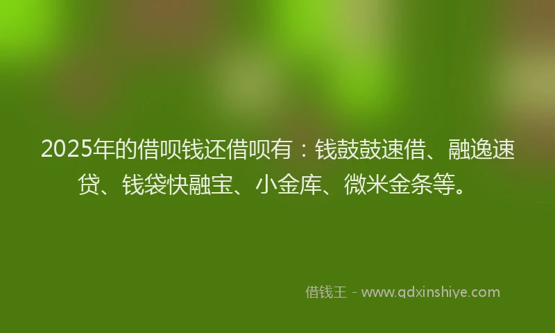 2025年的借呗钱还借呗有：钱鼓鼓速借、融逸速贷、钱袋快融宝、小金库、微米金条等。