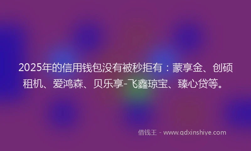 2025年的信用钱包没有被秒拒有：蒙享金、创硕租机、爱鸿森、贝乐享-飞鑫琼宝、臻心贷等。