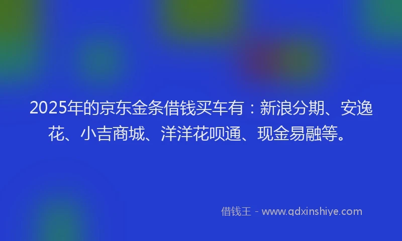 2025年的京东金条借钱买车有：新浪分期、安逸花、小吉商城、洋洋花呗通、现金易融等。