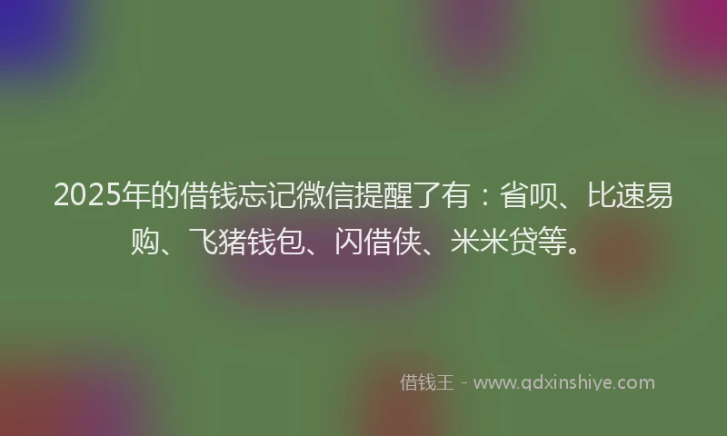 2025年的借钱忘记微信提醒了有：省呗、比速易购、飞猪钱包、闪借侠、米米贷等。