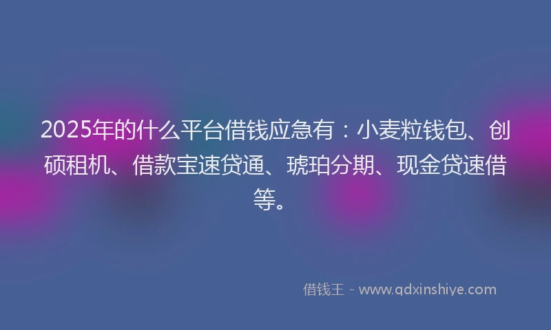 2025年的什么平台借钱应急有：小麦粒钱包、创硕租机、借款宝速贷通、琥珀分期、现金贷速借等。