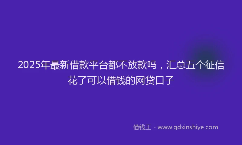 2025年最新借款平台都不放款吗，汇总五个征信花了可以借钱的网贷口子