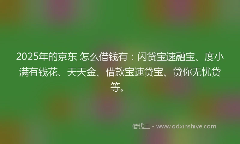 2025年的京东 怎么借钱有：闪贷宝速融宝、度小满有钱花、天天金、借款宝速贷宝、贷你无忧贷等。