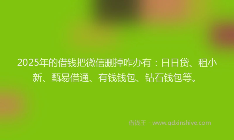 2025年的借钱把微信删掉咋办有：日日贷、租小新、甄易借通、有钱钱包、钻石钱包等。