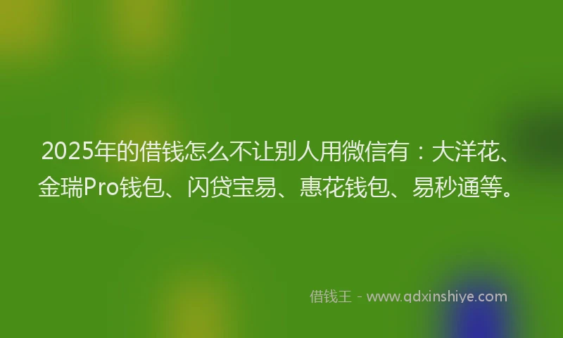 2025年的借钱怎么不让别人用微信有：大洋花、金瑞Pro钱包、闪贷宝易、惠花钱包、易秒通等。