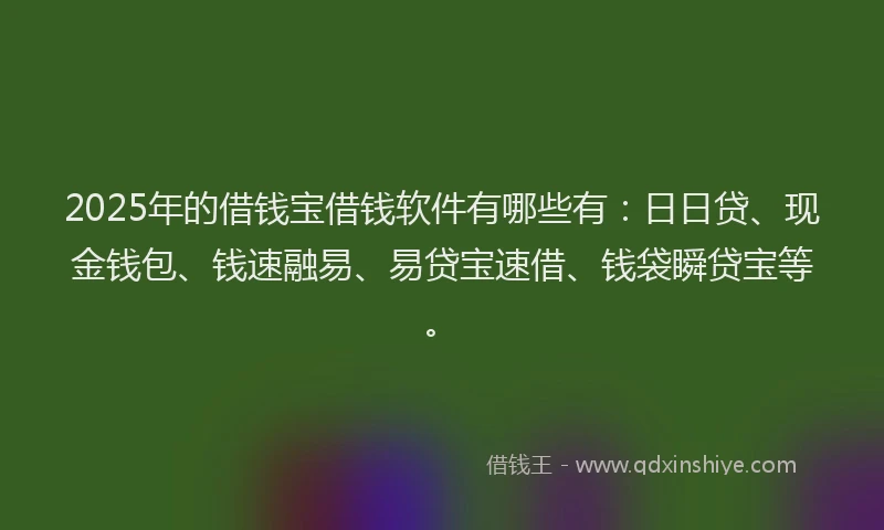 2025年的借钱宝借钱软件有哪些有：日日贷、现金钱包、钱速融易、易贷宝速借、钱袋瞬贷宝等。