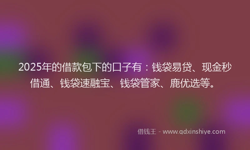 2025年的借款包下的口子有：钱袋易贷、现金秒借通、钱袋速融宝、钱袋管家、鹿优选等。