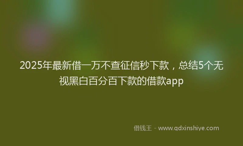 2025年最新借一万不查征信秒下款，总结5个无视黑白百分百下款的借款app