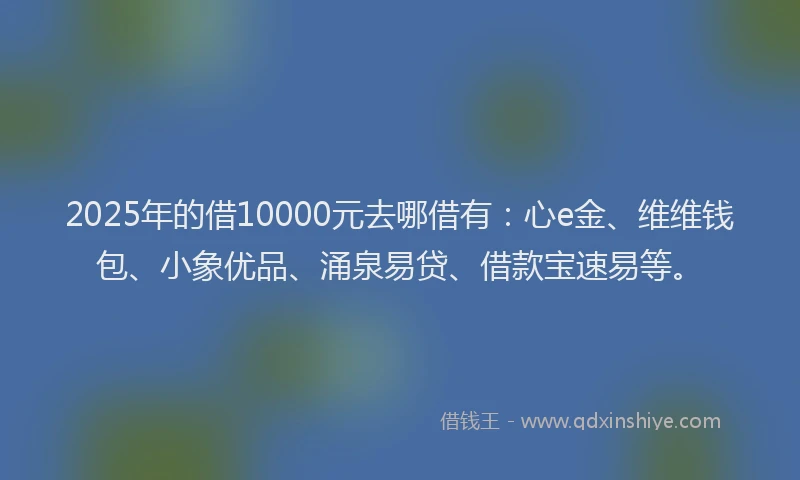2025年的借10000元去哪借有：心e金、维维钱包、小象优品、涌泉易贷、借款宝速易等。