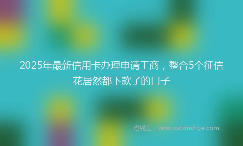 2025年最新信用卡办理申请工商，整合5个征信花居然都下款了的口子