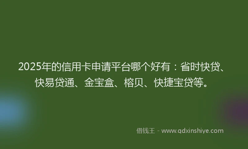 2025年的信用卡申请平台哪个好有：省时快贷、快易贷通、金宝盒、榕贝、快捷宝贷等。