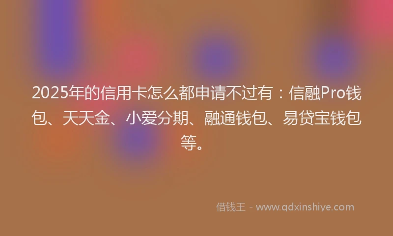 2025年的信用卡怎么都申请不过有：信融Pro钱包、天天金、小爱分期、融通钱包、易贷宝钱包等。