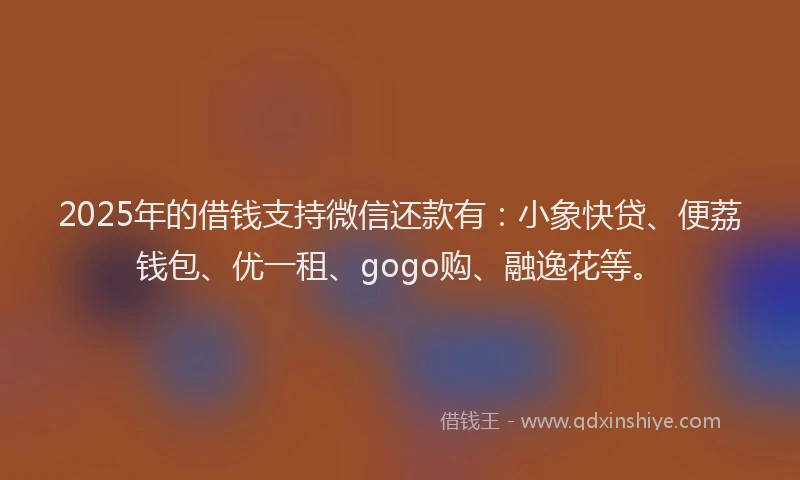 2025年的借钱支持微信还款有：小象快贷、便荔钱包、优一租、gogo购、融逸花等。