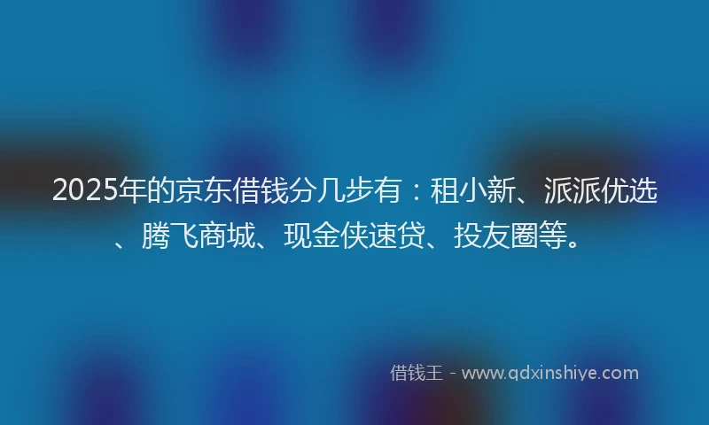 2025年的京东借钱分几步有：租小新、派派优选、腾飞商城、现金侠速贷、投友圈等。