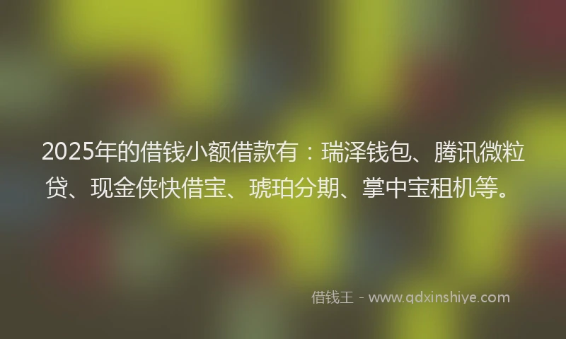 2025年的借钱小额借款有：瑞泽钱包、腾讯微粒贷、现金侠快借宝、琥珀分期、掌中宝租机等。