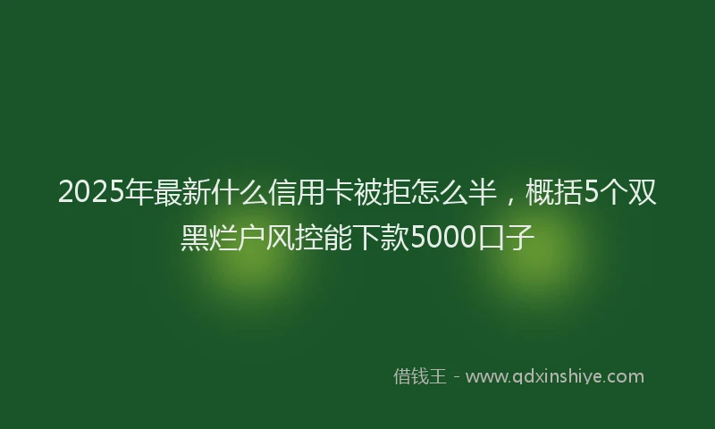 2025年最新什么信用卡被拒怎么半，概括5个双黑烂户风控能下款5000口子