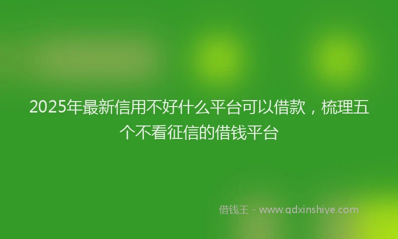 2025年最新信用不好什么平台可以借款，梳理五个不看征信的借钱平台